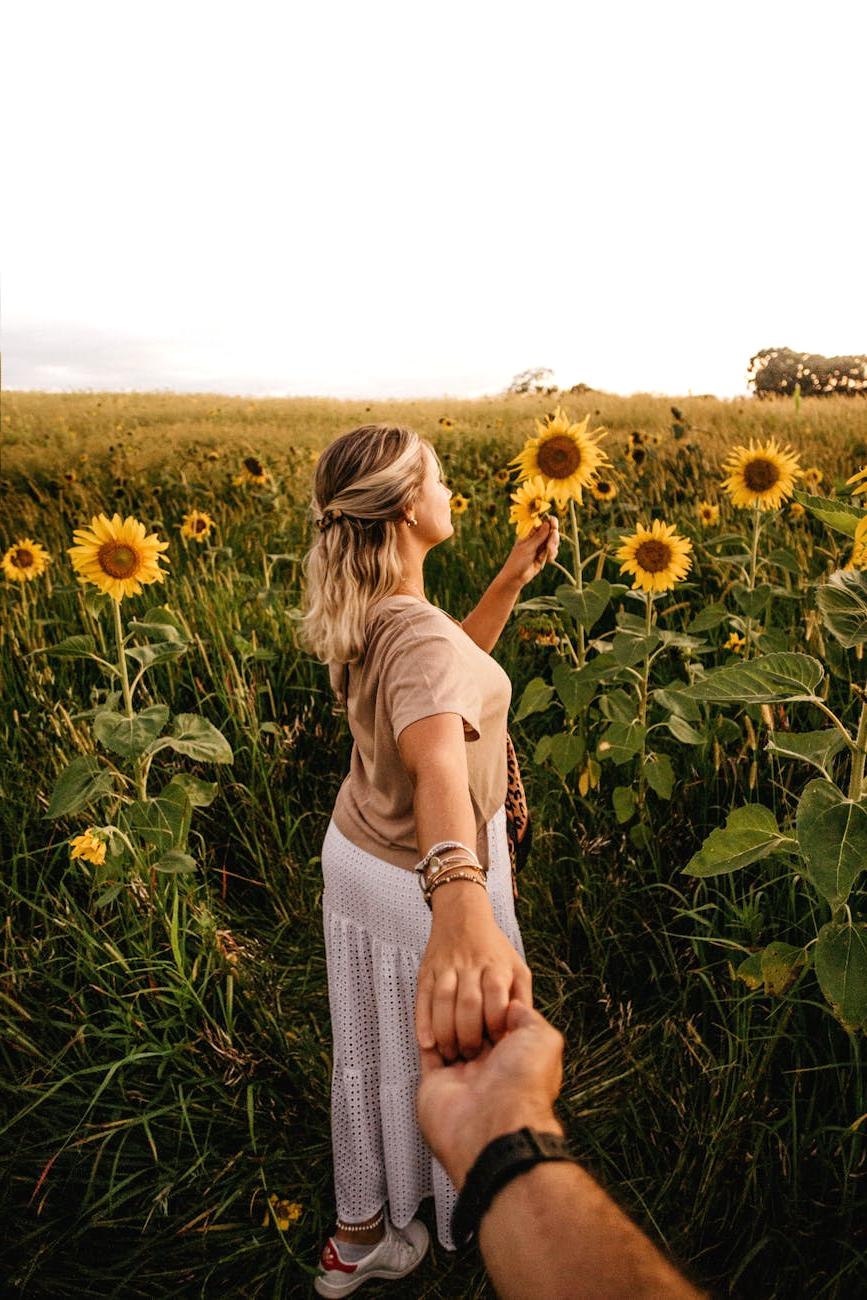 Слънчоглед (Helianthus)